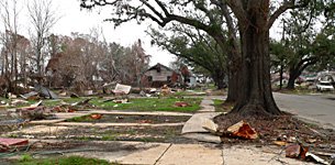 Post-Katrina Photo by Debra Howell